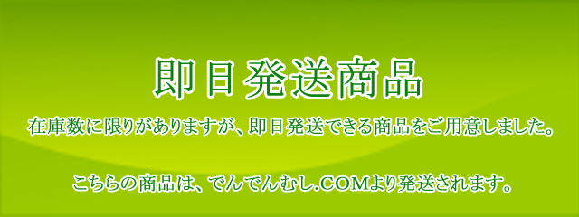 でんでんむし.ＣＯＭ　即日発送